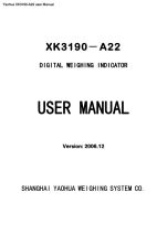 XK3190-A22 user